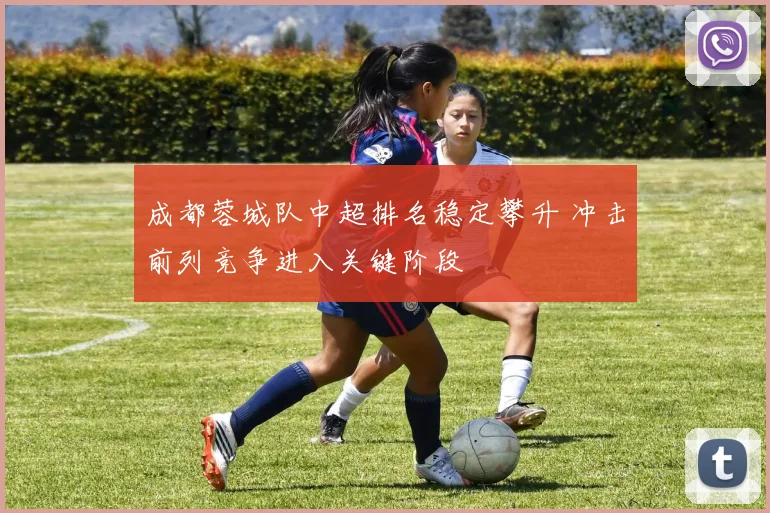 成都蓉城队中超排名稳定攀升 冲击前列竞争进入关键阶段