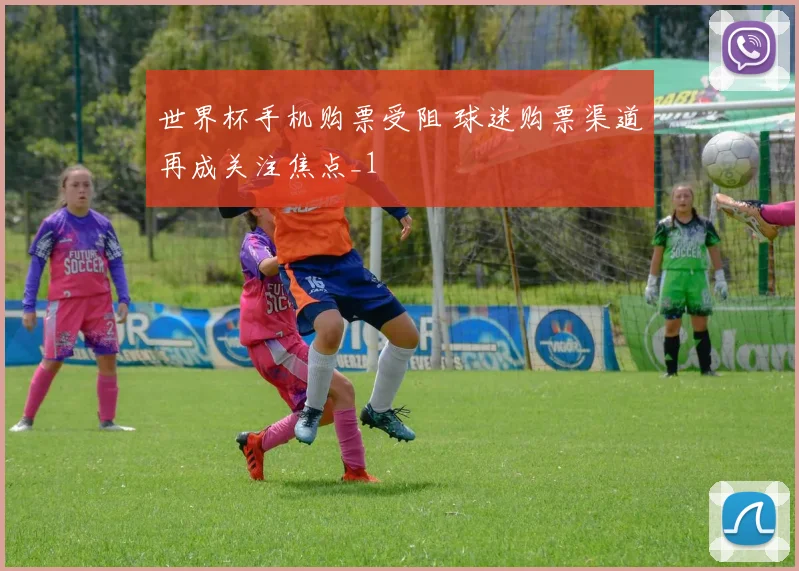 世界杯手机购票受阻 球迷购票渠道再成关注焦点_1