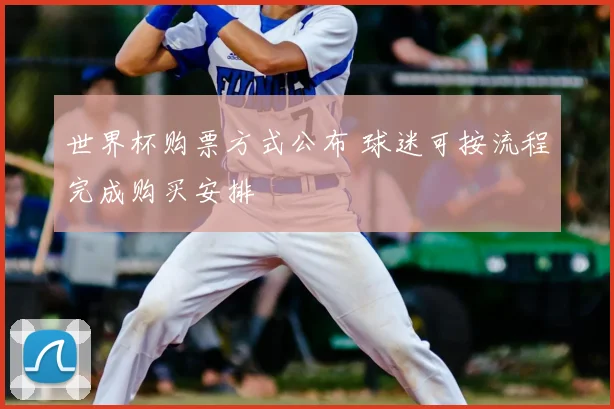 世界杯购票方式公布 球迷可按流程完成购买安排