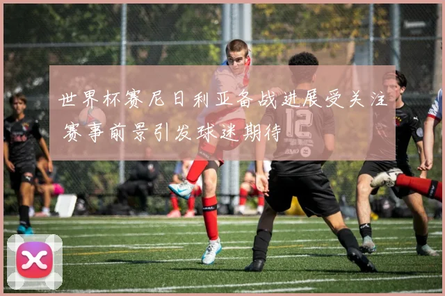 世界杯赛尼日利亚备战进展受关注 赛事前景引发球迷期待